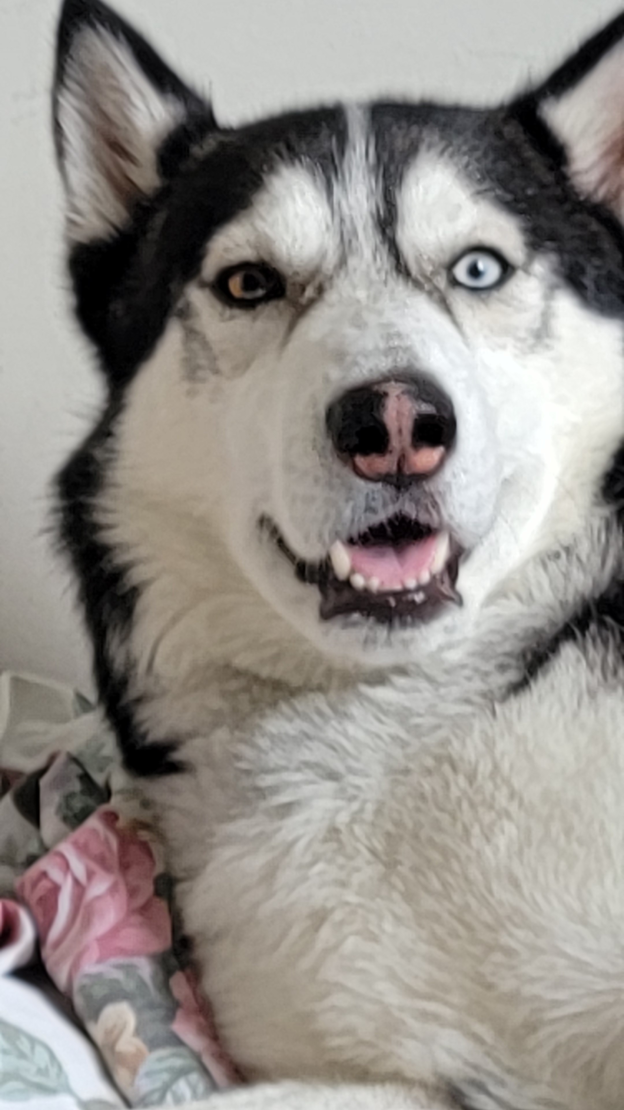 Lucky - Marketing Specialist